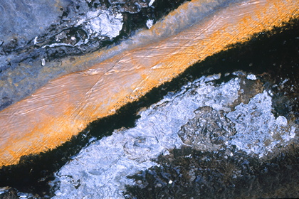 Yellowstone - Foto, Druck, Poster, Leinwand