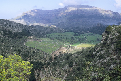 Mediterrane Berglandschaft - Foto, Druck, Poster, Leinwand