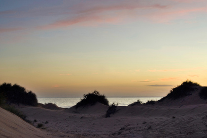 Stranddünen - Foto, Druck, Poster, Leinwand