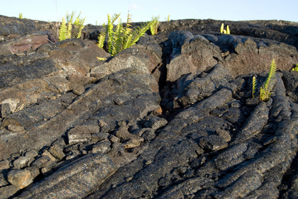Lava - Foto, Druck, Poster, Leinwand