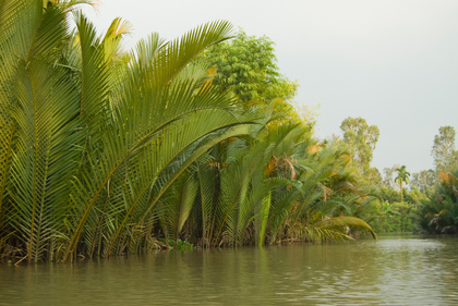 Mekong Delta - Foto, Druck, Poster, Leinwand
