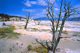 Foto Quellenlandschaft