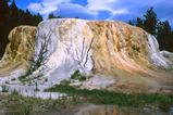 Foto Orange Spring Mound