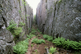 Foto Felsschlucht