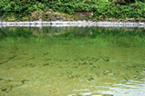 Foto Flusswasser