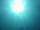 Foto Unterwassersonne
