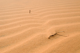 Foto Linien im Sand