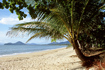 Foto Palmenstrand